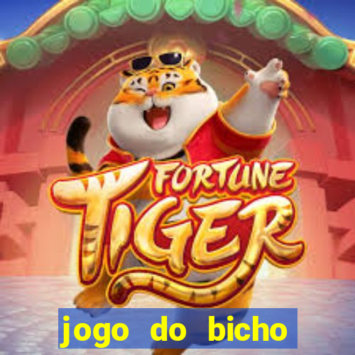 jogo do bicho feira de santana